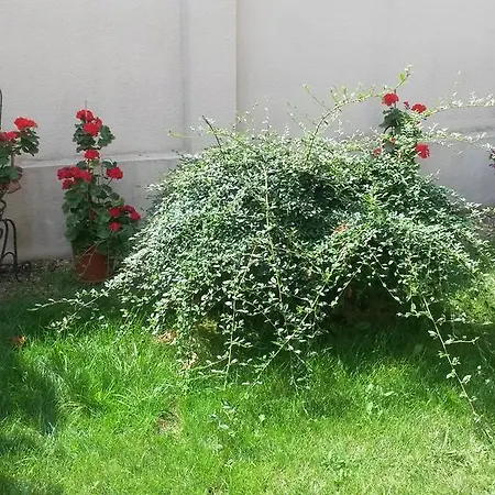 Vendégház Doda 3*