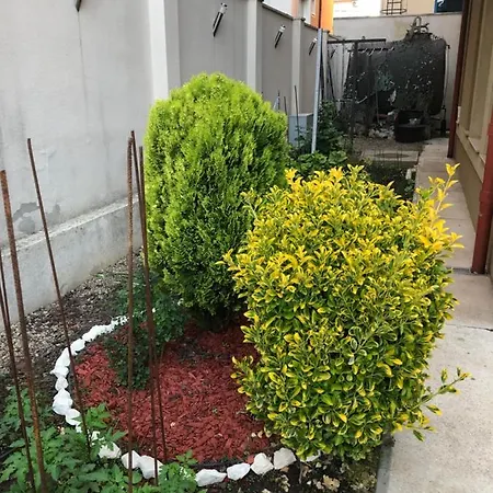 Vila Doda Casa de hóspedes